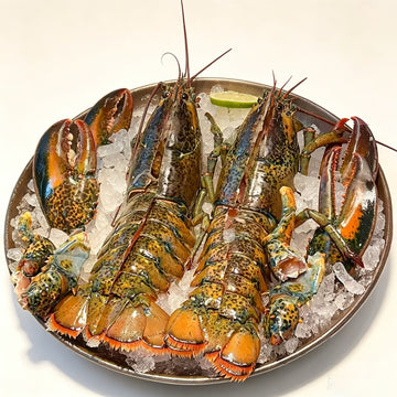Crab & Lobster