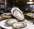 Fresh Oysters
